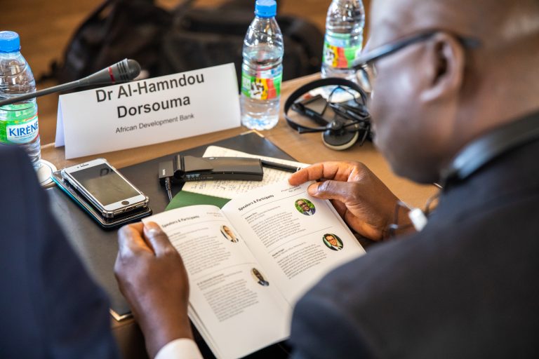 Dr. Al-Hamndou Dorsouma